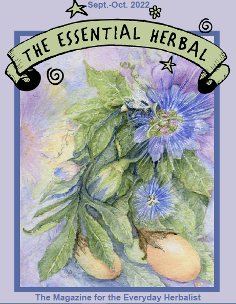 El blog de Essential Herbal septiembreoctubre de 2022 Essential Herbal