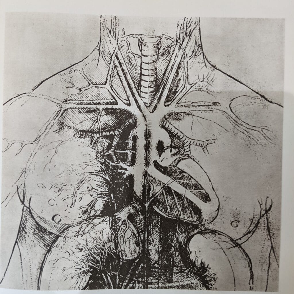 Frankenstein a la anatomia moderna del cuerpo humano