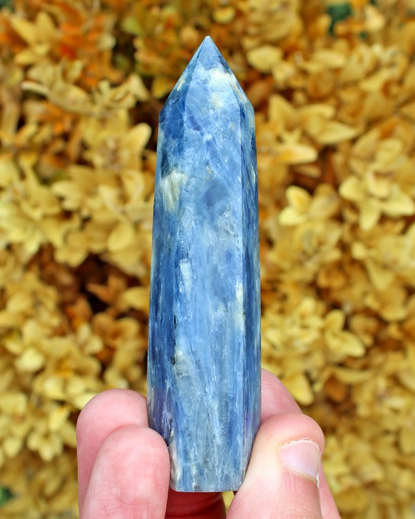 Poder de cristal de kyanita azul con hojas doradas de otoño/otoño detrás