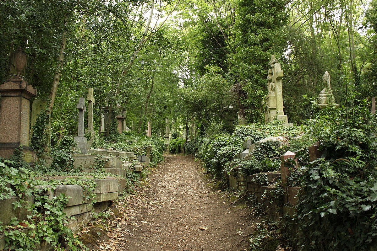 Camino a través de un antiguo cementerio cubierto de hiedra