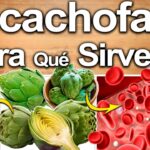 alcachofa planta medicinal para