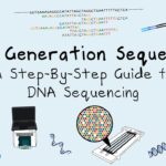 next generation dna sequencing a
