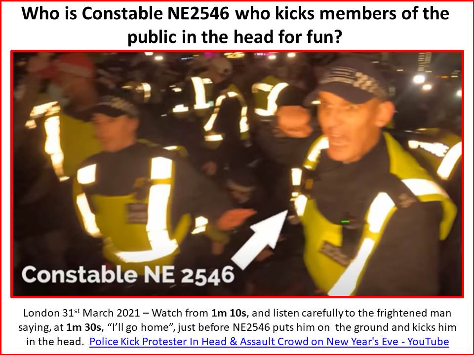 Agente NE2546 que patea a miembros del público en la cabeza por diversión