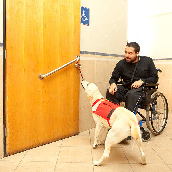 Discapacidad Animal de asistencia que ayuda al usuario de silla de ruedas al baño para discapacitados