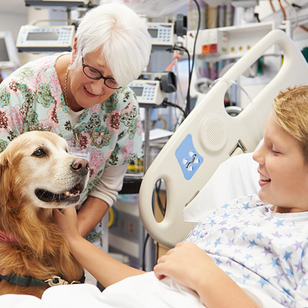 Animal de asistencia, perro de detección médica en el hospital con niños