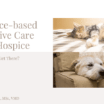 Cuidados paliativos y de hospicio veterinarios basados ​​en evidencia ¿podemos
