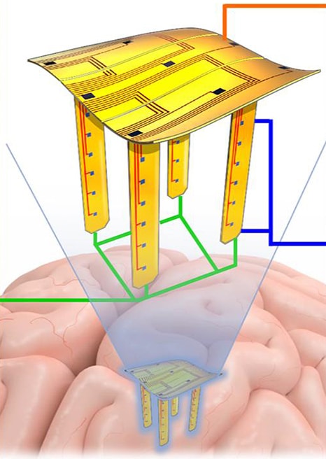 Electrodo emergente para interfaces neuronales mejoradas