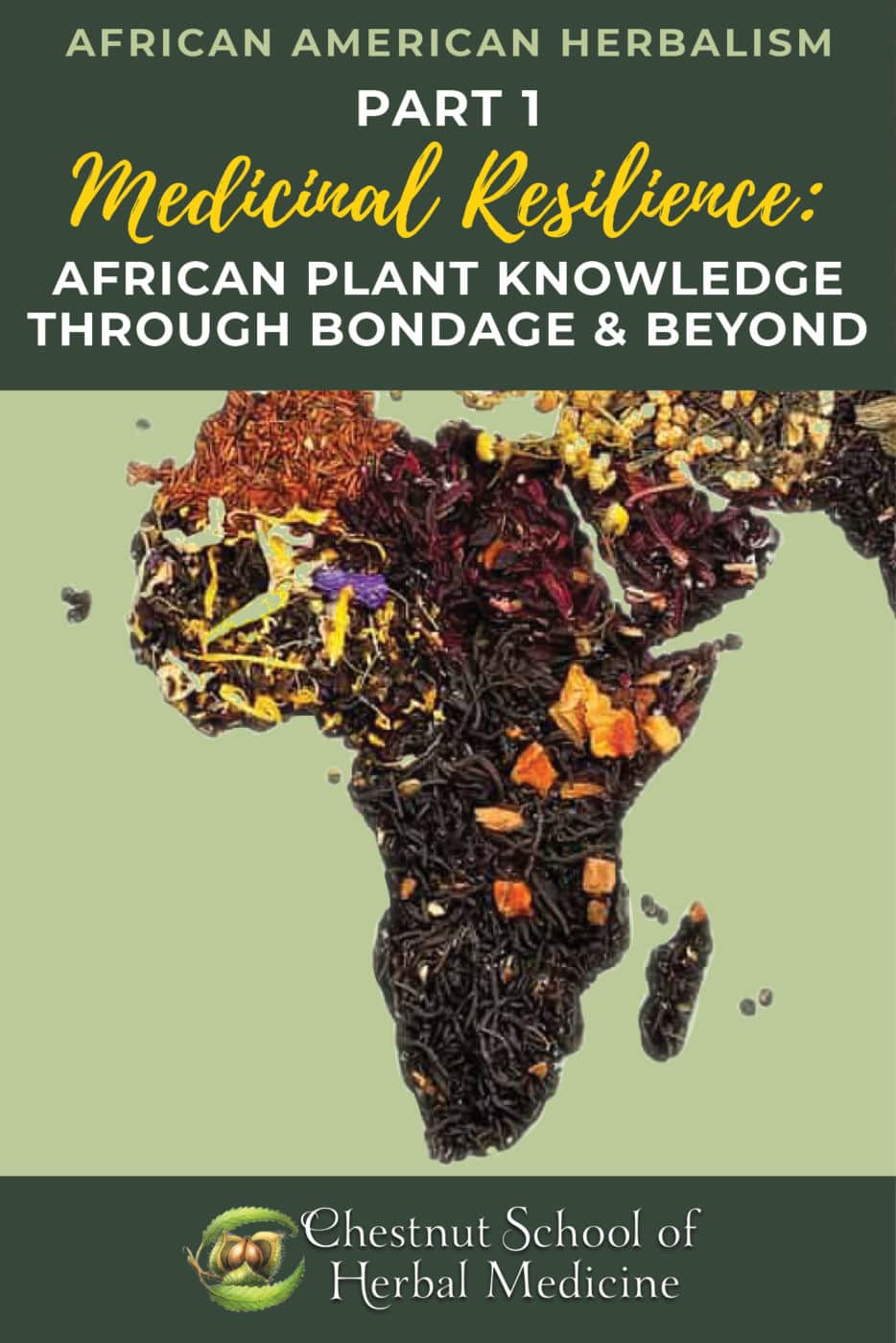 Herboristeria afroamericana descripcion general de la afrobotanica de Africa a