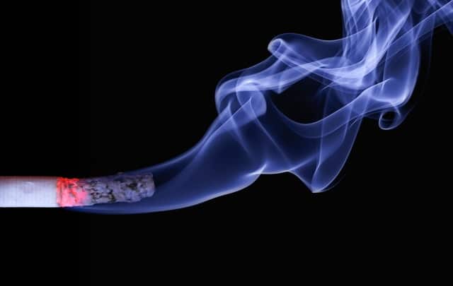 Acerca del tabaco ¡una planta popular que puede matarte